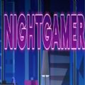 night gamer冷狐版